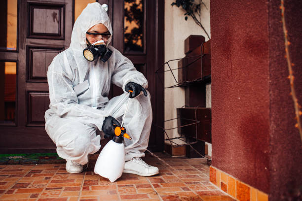 Reliable Ant Control contractor in Pennington, NJ by Show Me Pest Control